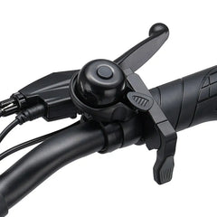iSinwheel Elektryczny rower miejski Elektryczny Rower Miejski U1 250W Składany dla Młodzieży i Dorosłych, Rower Elektryczny z Certyfikatem CE