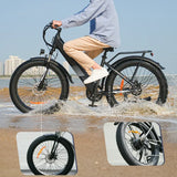 isinwheel E-Bike isinwheel M60 Rower Elektryczny Fat Tire 250W – Terenowy E-bike All-Terrain