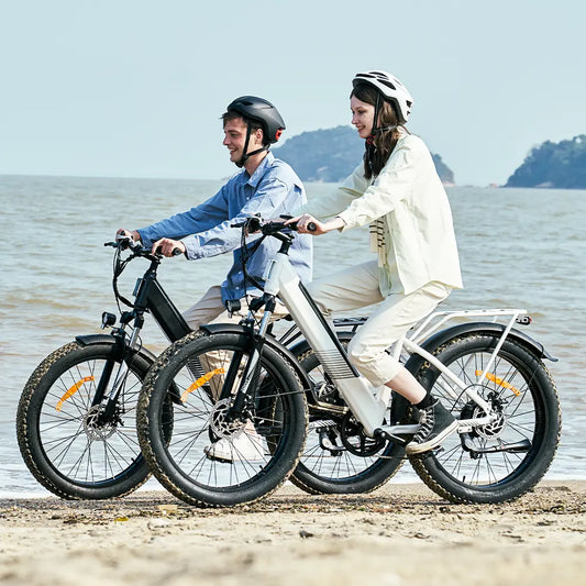isinwheel E-Bike isinwheel M60 Rower Elektryczny Fat Tire 250W – Terenowy E-bike All-Terrain