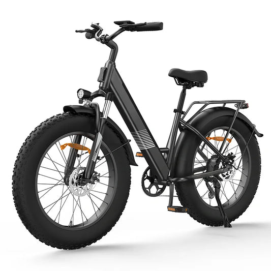 isinwheel E-Bike Szary isinwheel M60 Rower Elektryczny Fat Tire 250W – Terenowy E-bike All-Terrain