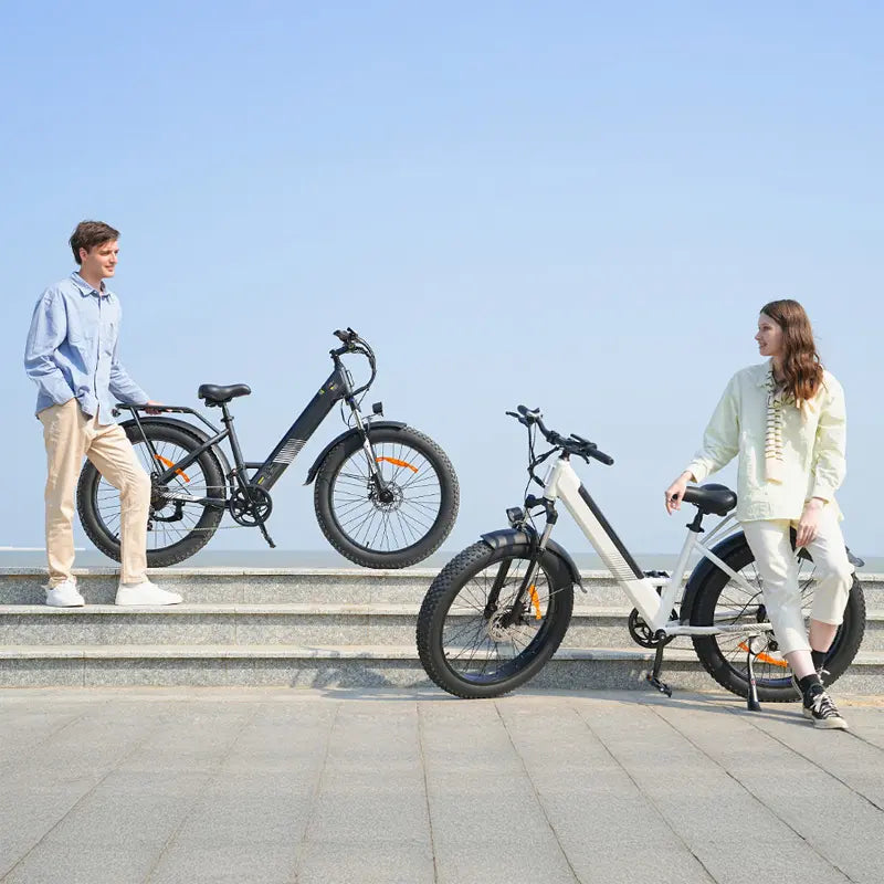 isinwheel E-Bike isinwheel M60 Rower Elektryczny Fat Tire 250W – Terenowy E-bike All-Terrain