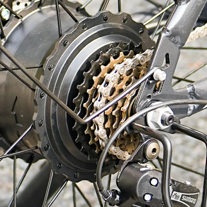 isinwheel E-Bike isinwheel M60 Rower Elektryczny Fat Tire 250W – Terenowy E-bike All-Terrain