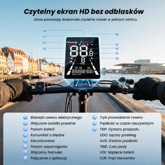 iSinwheel Elektryczny rower miejski Rower elektryczny isinwheel EB8 Fat o zasięgu 144 km z czujnikiem momentu obrotowego i hydraulicznymi hamulcami tarczowymi