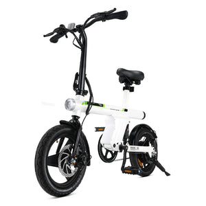 U1 250W Foldable Electric City Bike for Youth and Adults, CE Certified Electric Bike 