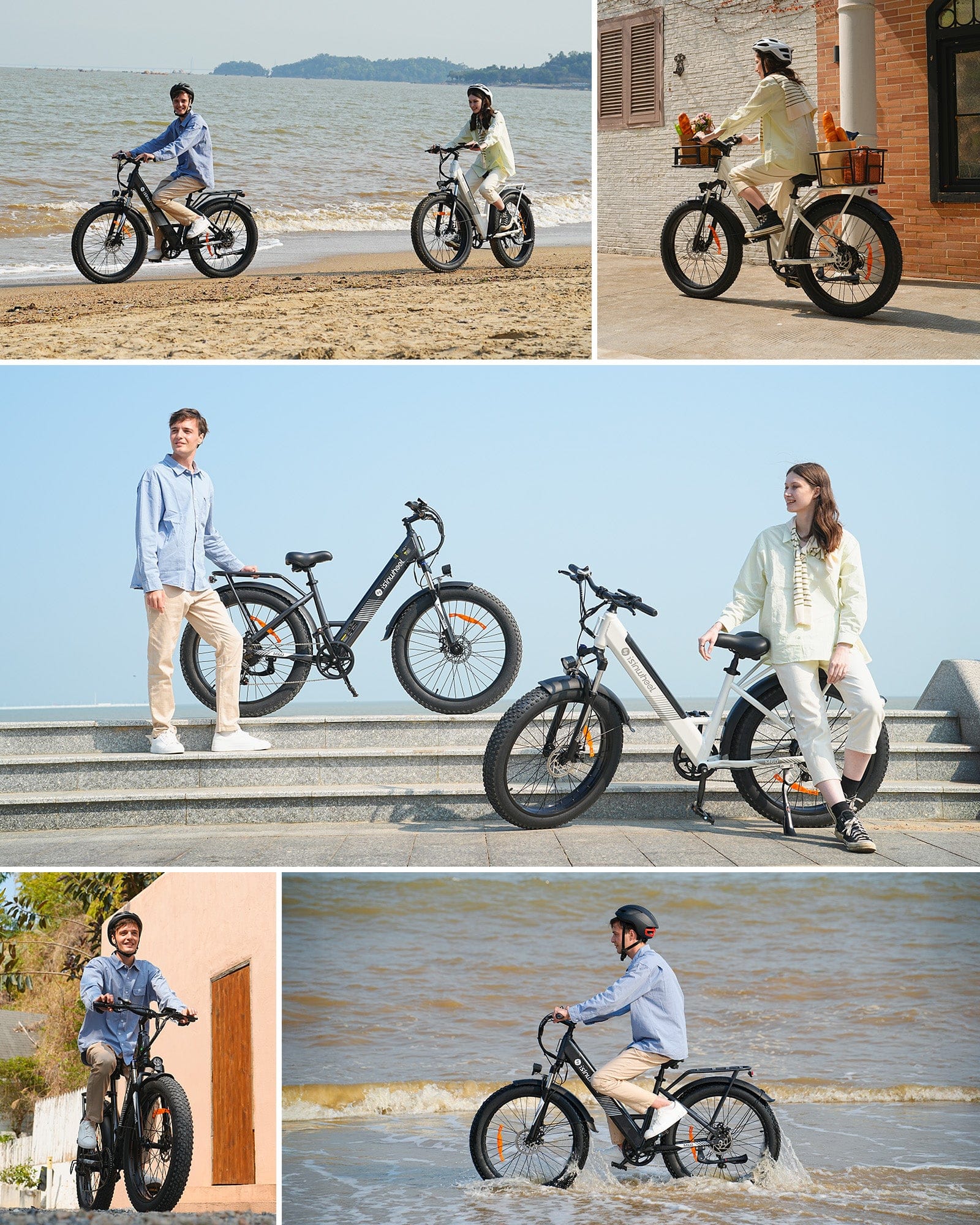 isinwheel E-Bike Electric Bike M60 750W Fat-Tire All-Terrain Electric Bike