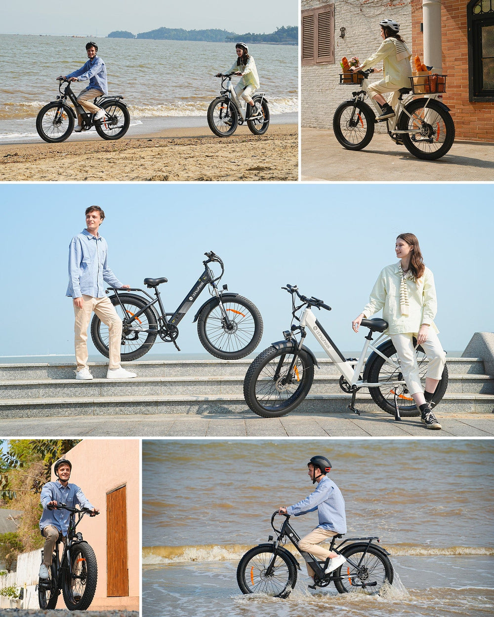 isinwheel E-Bike Electric Bike M60 750W Fat-Tire All-Terrain Electric Bike